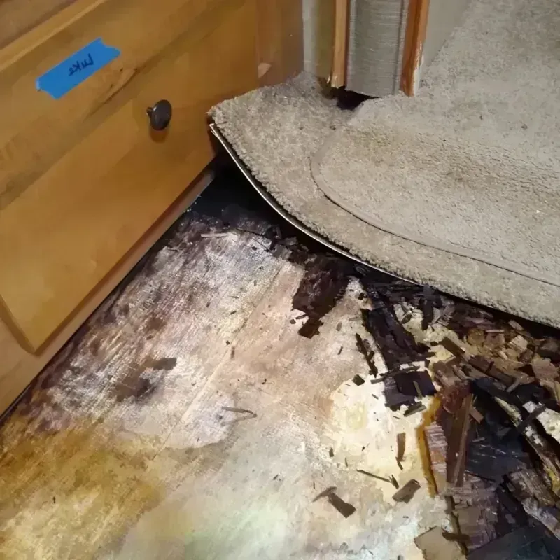 Wood Floor Water Damage in Cleveland, FL